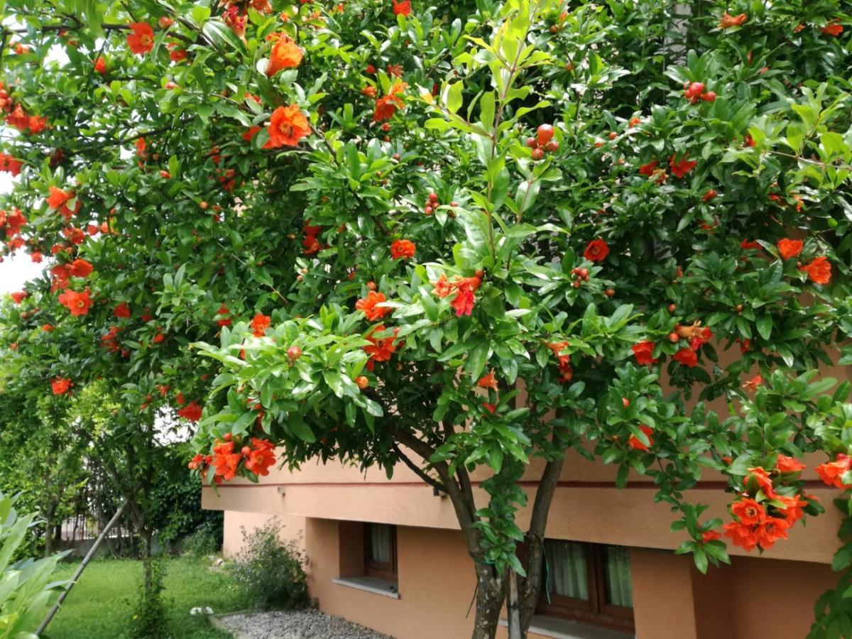 Casa Vacanze - Sportholiday House Segusino-Valdobbiadene Sequsino Bagian luar foto
